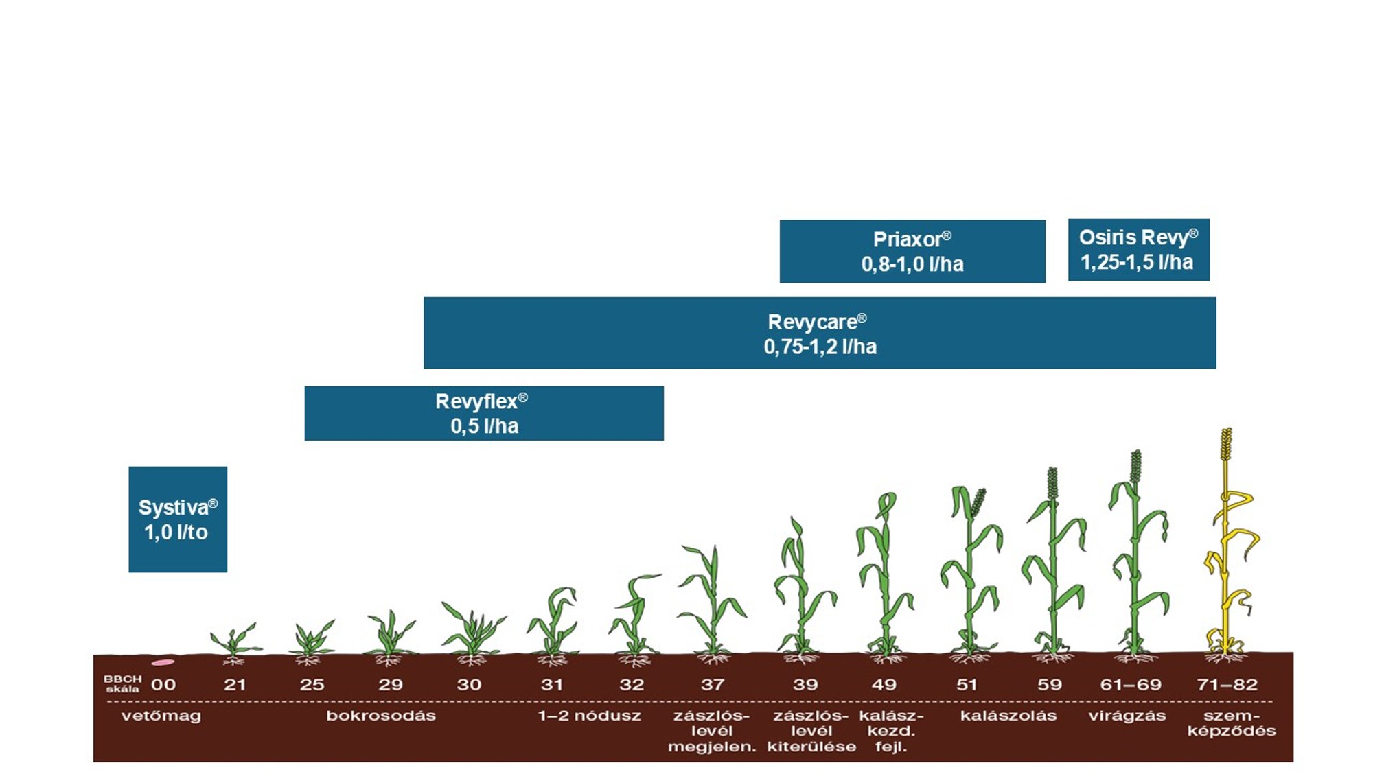 2.ábra a BASF gombaölő szeres javaslata búzában