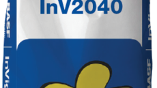 InVigor 2040