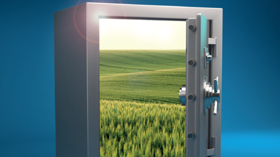 Szakmai útmutató a búza és árpa levél- és kalászbetegségei elleni védekezéshez