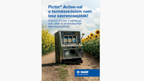 Szakmai útmutató a napraforgó szár-, levél- és tányérbetegségei elleni védekezéshez