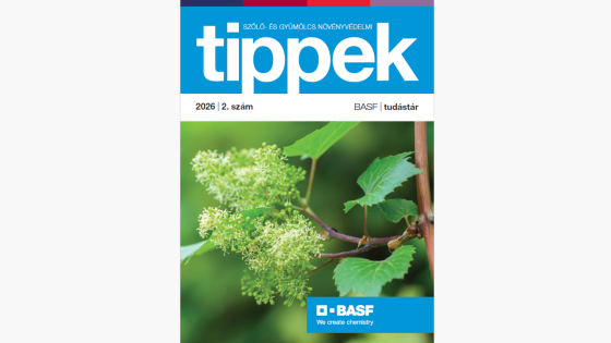 Szőlő- és Gyümölcskultúrák