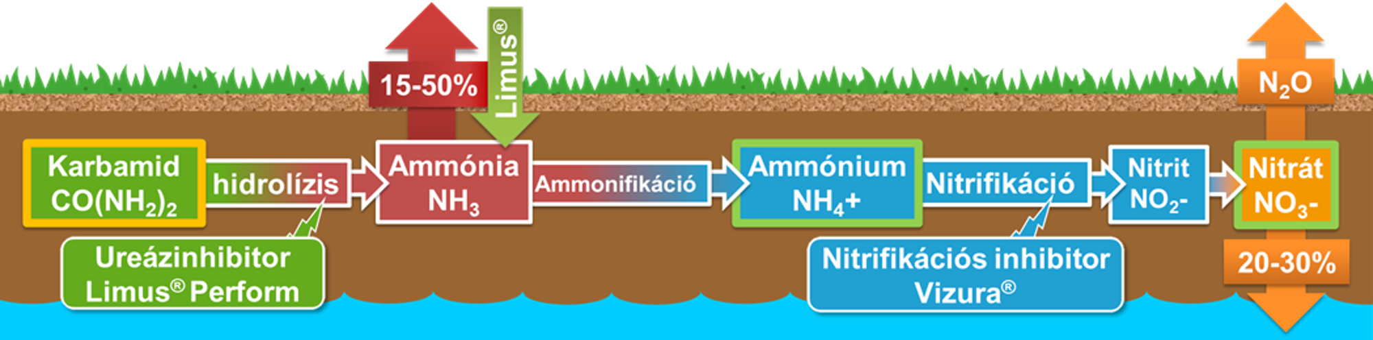 2.árba: Nitrogénkörforgás