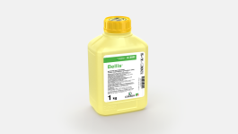 Bellis®