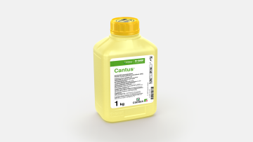 CANTUS®