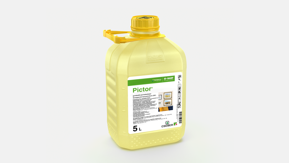 PICTOR® - 58652834