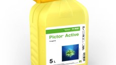 Pictor® Active