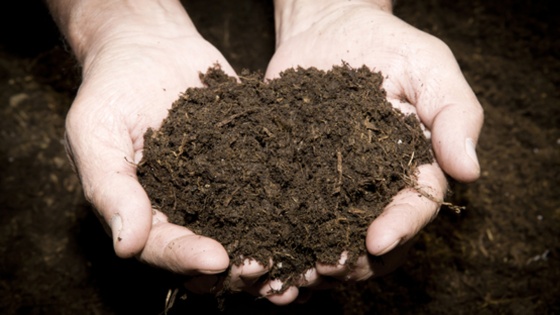 N-trágyázás hatékonyan