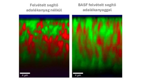 5.ábra: Kristályos viasz - nehézkes átjutás (piros), amorf viasz - egyszerűbb átjutás (zöld)