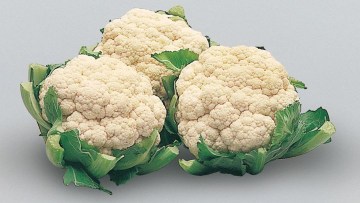Karfiol