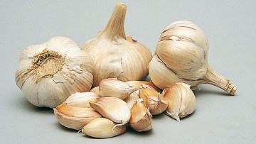 Fokhagyma